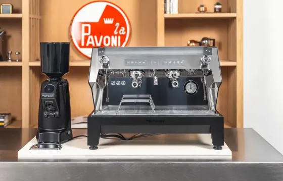 Кофемашина La Pavoni Almaty