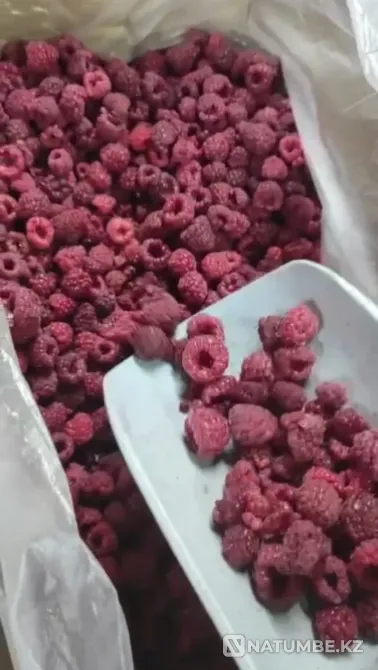 Свежезамороженная малина оптом по Казахс Taldykorgan - photo 1