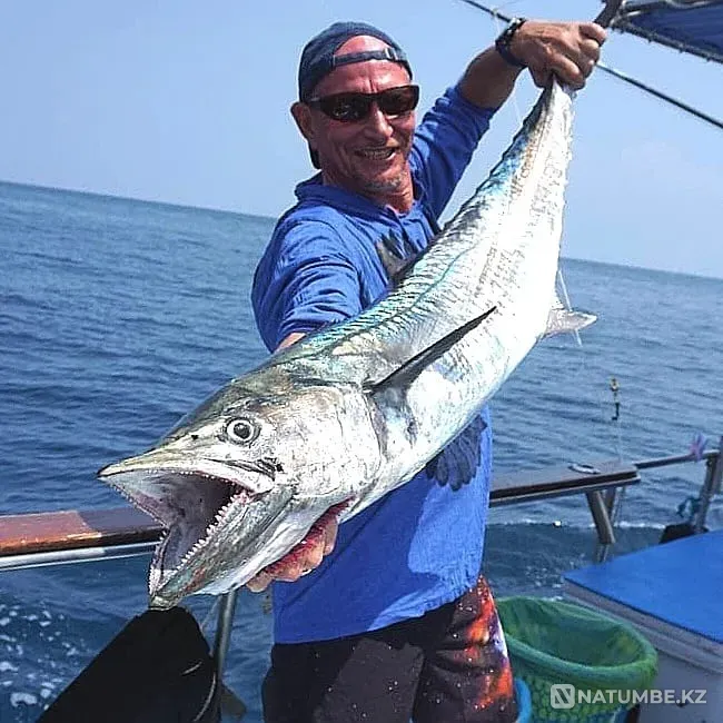 Морская рыбалка на Пхукете — поймай свой Астана - изображение 4