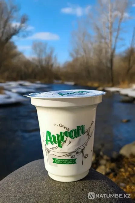 Готовый бизнес под ключ: производство йо Алматы - изображение 6