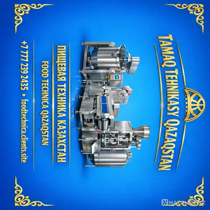 Конвекционная печь KING CK02E Печь, приг Алматы - изображение 2