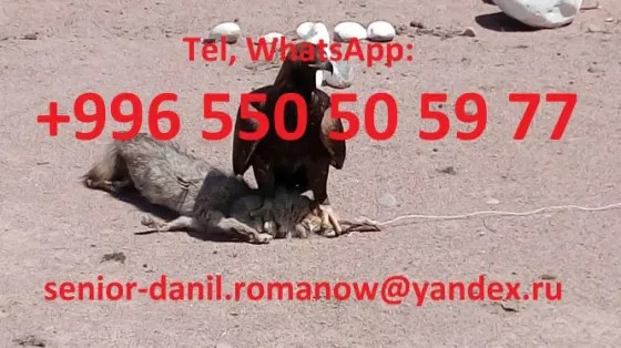 Voyages au Kyrgyzstan, guide, tourism, e Москва