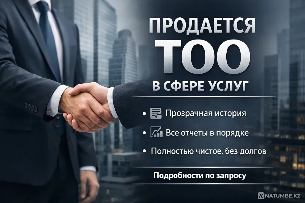 Продам ТОО с историей в сфере услуг (2011 г.), полностью чис Алматы - изображение 1