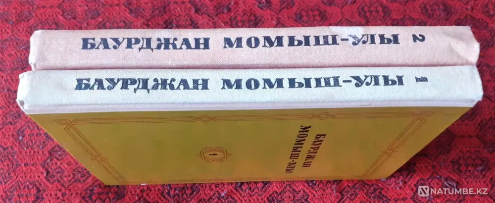 Баурджан Момыш-улы. Избранное в 2 томах 1980г Костанай - изображение 9