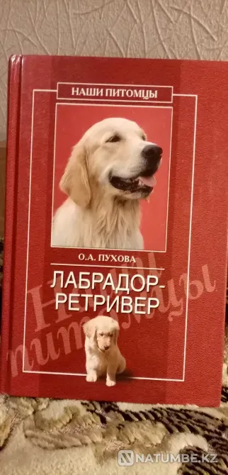 Книги новые Иваново - изображение 5