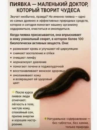 Гирудотерапия у опытного врача: на 10 кг 1 пиявка - 2000 тг Алматы