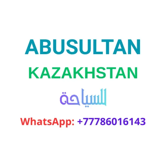 ايجار السيارات والمينيباصات مع سائقين في ألماتي Алматы