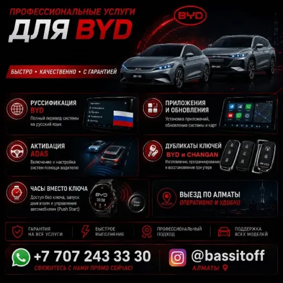 BYD профессиональные услуги в Алматы Алматы