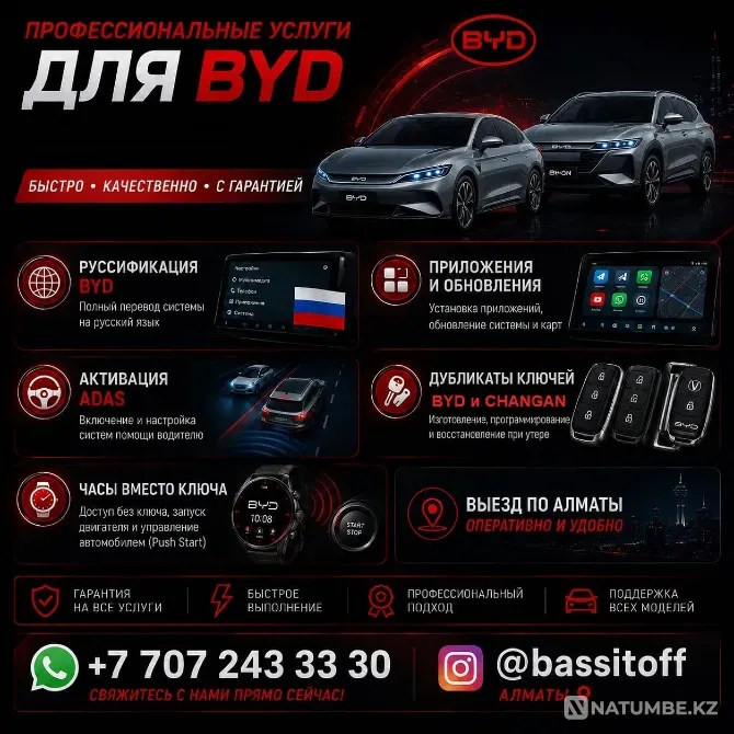 BYD профессиональные услуги в Алматы Алматы - изображение 1