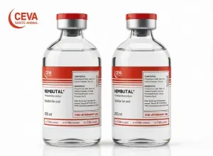 Pentobarbital for sale in Spain | Nembutal for sale in Spain Астана