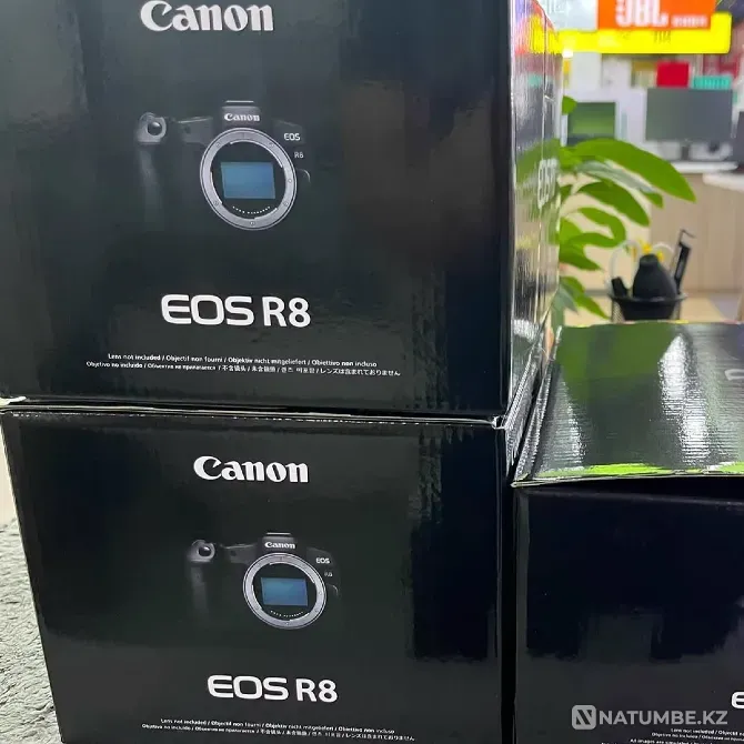 Canon EOS R8 Беззеркальная камера Астана - изображение 6