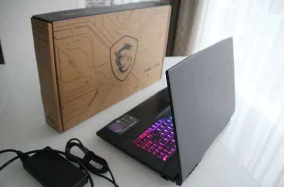 Игровой ноутбук MSI Katana 17 B13VFK (Intel Core i7 Астана