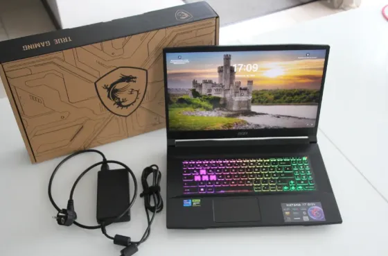Игровой ноутбук MSI Katana 17 B13VFK (Intel Core i7 Астана