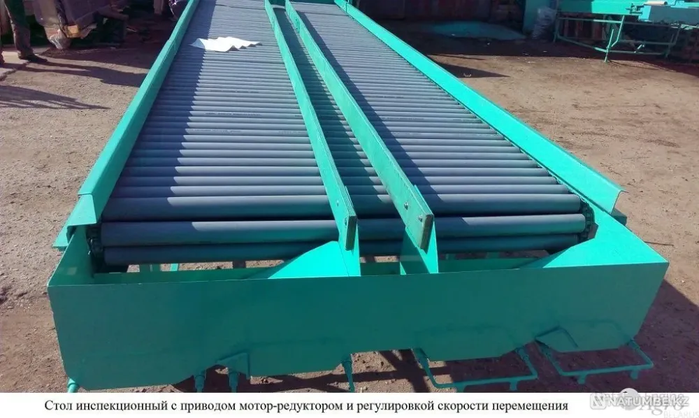 Стол роликовый селекционный для переборки корнеплодов СП-120 Астана - изображение 1