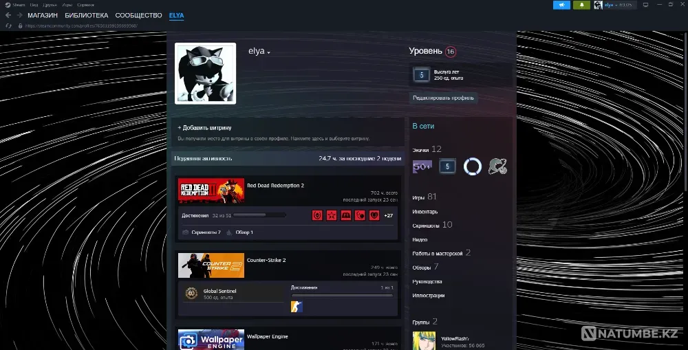 Продам Steam аккаунт Усть-Каменогорск - изображение 1