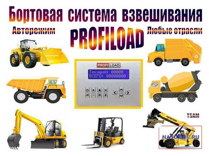 Onboard auto weighing system Irkutsk - photo 1