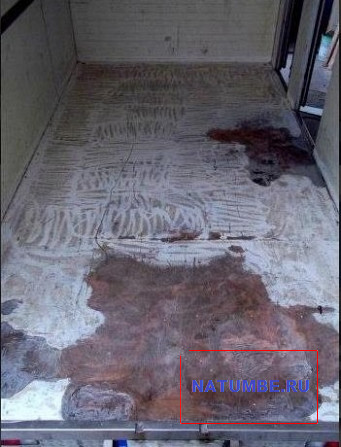 Repair of the floor of the sandwich panels over the saddle of the semi-trailer Nizhniy Novgorod - photo 10
