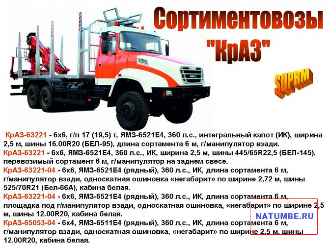 Log truck "KrAZ" Irkutsk - photo 2